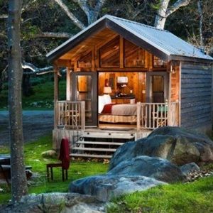 Meet your Posher, Ginger